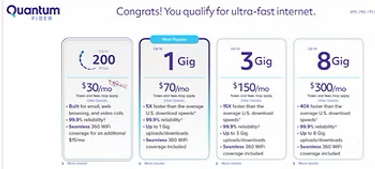 Quantum Fiber pricing